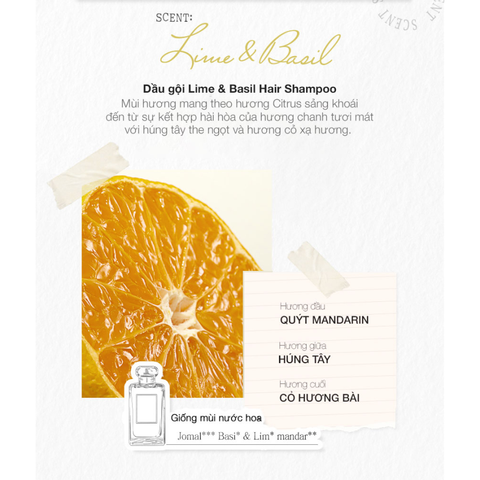 Dầu Gội Jmella In France No.3 Hương Chanh & Húng Quế 500ml - Làm Sạch & Nuôi Dưỡng Tóc Khỏe Mạnh, Không Hóa Chất Độc Hại