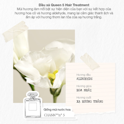 Dầu Xả Jmella In France Queen 5 Hair Treatment 500ml - Phục Hồi Dưỡng Ẩm Tóc Khô Xơ, Hương Hoa Pháp Quyến Rũ