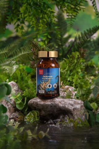 Okinawa Fucoidan +++ - Viên Uống Tảo Nâu Hỗ Trợ Tăng Cường Đề Kháng, Bảo Vệ Sức Khỏe Gan - Hỗ Trợ Miễn Dịch Từ Tảo Mekabu và Mozuku