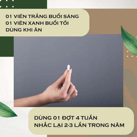 Viên Uống Hỗ Trợ Tăng Cường Chức Năng Gan Synchrovitals IV - Bổ Gan Từ Thiên Nhiên, Giải Độc, Hỗ Trợ Sức Khỏe Gan, 60 Viên