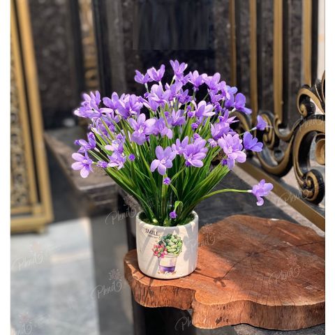 Chậu Hoa Trang Trí Thủy Tiên Lụa Phối Màu - Chậu Gốm Tinh Tế Trang Trí Nội Thất Hiện Đại, Quà Tặng Sang Trọng