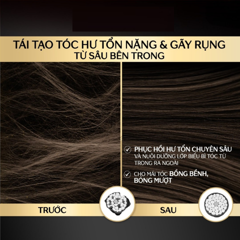 Mặt Nạ Tóc Tsubaki Cao Cấp 180g - Phục Hồi Hư Tổn, Giảm Gãy Rụng, Công Nghệ Thẩm Thấu Nhanh, Dầu Hoa Trà Nhật Bản