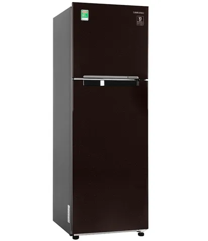 Tủ lạnh Samsung RT25M4032BY/SV inverter 256 lít