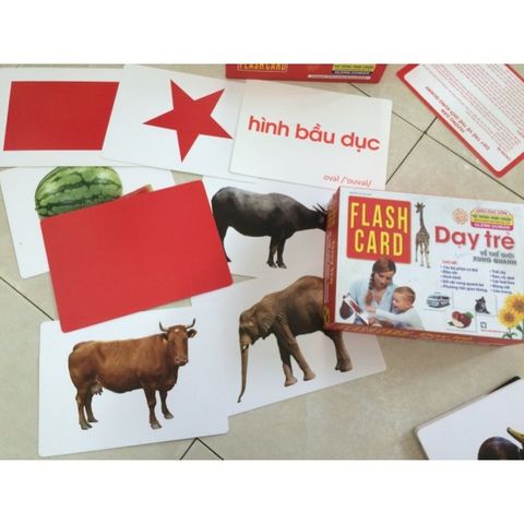 Flash Card Thông Minh Chuẩn Glenn Doman - Dạy Trẻ Khám Phá Thế Giới Xung Quanh - Bộ 120 Thẻ Giáo Dục Sáng Tạo