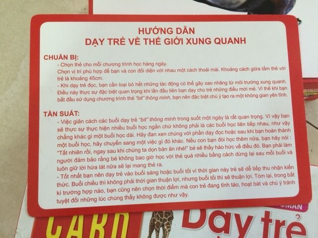 Flash Card Thông Minh Chuẩn Glenn Doman - Dạy Trẻ Khám Phá Thế Giới Xung Quanh - Bộ 120 Thẻ Giáo Dục Sáng Tạo