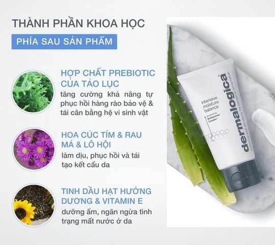 Kem Dưỡng Ẩm Phục Hồi Da Khô Dermalogica Intensive Moisture Balance - Giải Pháp Lý Tưởng Cho Làn Da Khô, Cung Cấp Độ Ẩm Mượt Mà, Chống Lão Hóa