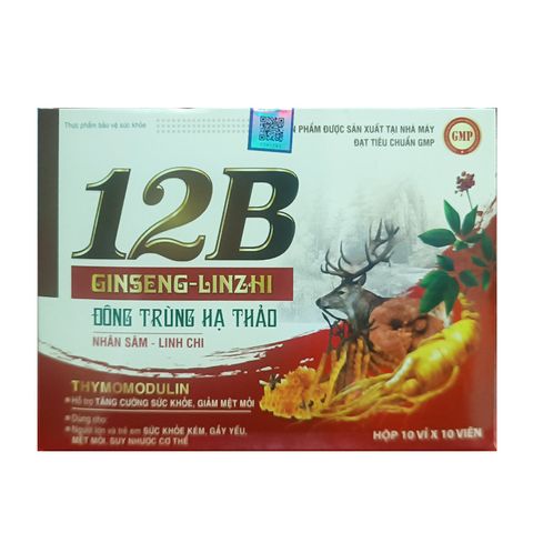 Viên vitamin 12B Ginseng Linzhi đông trùng hạ thảo Vinaphar - Hỗ trợ sức khỏe, giảm mệt mỏi và suy nhược cơ thể, vitamin B cho người lớn và trẻ em