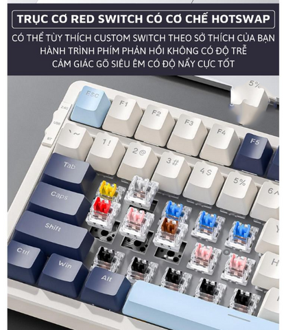 Bàn phím cơ Bluetooth K8BT Hotswap Red Switch LED Gaming - Kết nối USB 2.4Ghz và Type C, Thiết kế nhỏ gọn, 18 chế độ LED đẹp mắt
