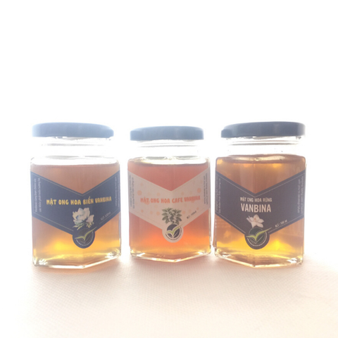 Combo 3 Chai Mật Ong Nguyên Chất Vanbina 250gr - Mật Ong Rừng, Hoa Biển, Hoa Cà Phê - Quà Tặng Thiên Nhiên Từ Việt Nam