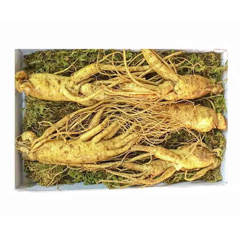Sâm Tươi Hàn Quốc 6 Năm Tuổi - 5 Củ 1kg Loại 1 Chất Lượng Cao, Hỗ Trợ Sức Khỏe, Giàu Vitamin & Khoáng Chất