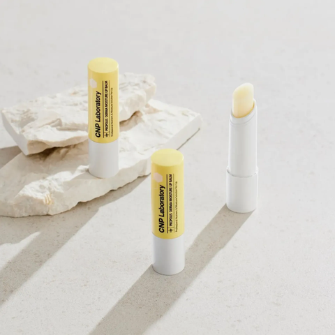 Son Dưỡng Môi CNP Propolis Derma Moisture Lip Balm - Đặc Trị Khô Nẻ, Chiết Xuất Keo Ong 4g, Dưỡng Ẩm Mượt Mà Cho Môi