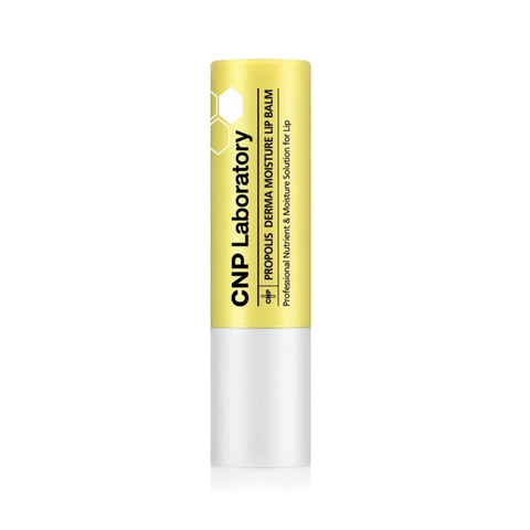 Son Dưỡng Môi CNP Propolis Derma Moisture Lip Balm - Đặc Trị Khô Nẻ, Chiết Xuất Keo Ong 4g, Dưỡng Ẩm Mượt Mà Cho Môi