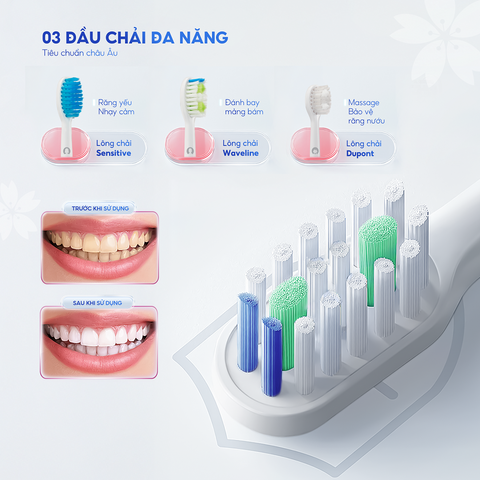 Bàn Chải Điện Chido CDSmile Công Nghệ Sóng Âm - Làm Sạch Răng Miệng Nhanh Chóng, Đầu Chải Thiết Kế Nghiêng 5 Độ, Sạc Nhanh 4 Giờ