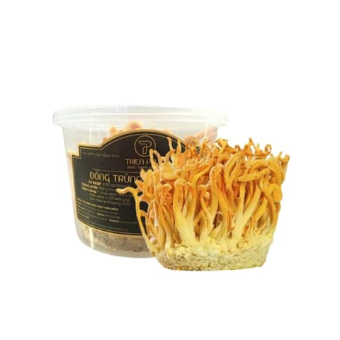 Đông Trùng Hạ Thảo Tươi Nguyên Khối Thiên Phúc - Hỗ Trợ Tăng Cường Miễn Dịch và Sức Khỏe Toàn Diện, Hộp 100g