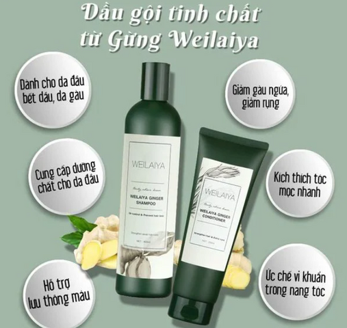 Cặp Dầu Gội Và Xả Gừng Weilaiya Ginger Đức 400ml - Hỗ Trợ Mọc Tóc, Giảm Gàu, Hương Gừng Vanilla Thư Giãn
