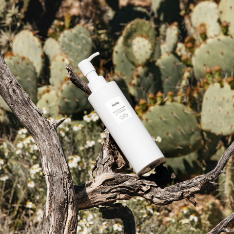 Gel Rửa Mặt Huxley Secret of Sahara 200ml - Sạch Dịu Nhẹ, Phù Hợp Mọi Loại Da, Chiết Xuất Xương Rồng Cấp Ẩm Tối Ưu