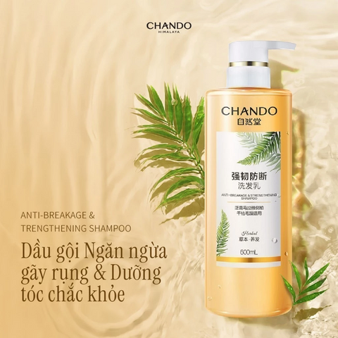 Dầu Gội Chando Himalaya Ngăn Gãy Rụng & Phục Hồi Tóc - Chai 600ml Dưỡng Tóc Chắc Khỏe, Chống Rụng, Phù Hợp Da Đầu Nhạy Cảm