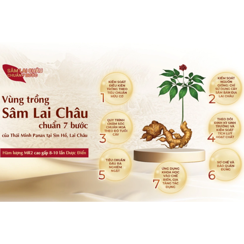Hồng Sâm Lai Châu Hữu Cơ Thái Minh Hộp 14 Gói - Tăng Cường Sức Khỏe và Đề Kháng, Bồi Bổ Cơ Thể Từ Thiên Nhiên