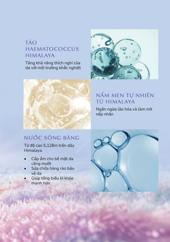 Kem Dưỡng Chando Himalaya Time Frozen - Chống Lão Hóa, Tăng Cường Độ Đàn Hồi Da, Dưỡng Ẩm Sâu, Phù Hợp Mọi Loại Da 50g