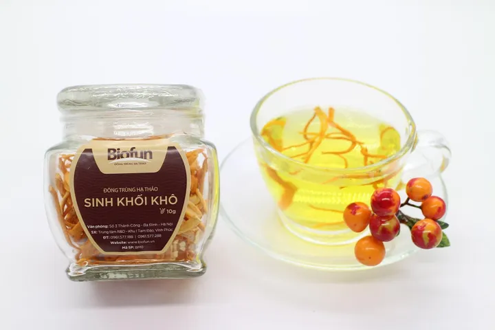 Đông Trùng Hạ Thảo Sinh Khối Khô BIOFUN - Thực Phẩm Chức Năng Hỗ Trợ Cải Thiện Sức Khỏe, Tăng Cường Sinh Lực, Giá Tốt