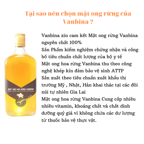 Mật Ong Rừng Vanbina Nguyên Chất Tây Nguyên 545gr - Mật Ong Tự Nhiên Chống Vi Khuẩn, Hỗ Trợ Làm Đẹp, Xuất Khẩu Việt Nam