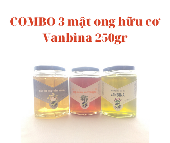 Combo 3 Chai Mật Ong Nguyên Chất Vanbina 250gr - Mật Ong Rừng, Hoa Biển, Hoa Cà Phê - Quà Tặng Thiên Nhiên Từ Việt Nam