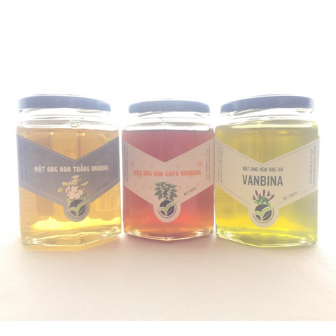 Combo 3 Chai Mật Ong Nguyên Chất Vanbina 250gr - Mật Ong Rừng, Hoa Biển, Hoa Cà Phê - Quà Tặng Thiên Nhiên Từ Việt Nam