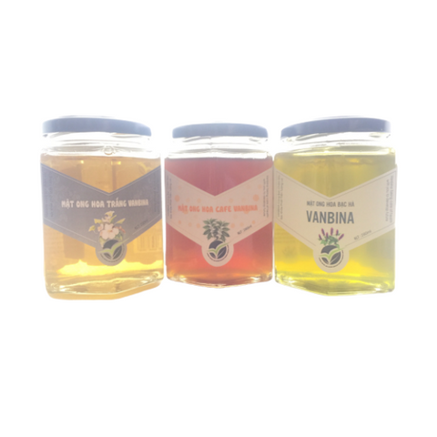 Combo 3 Chai Mật Ong Nguyên Chất Vanbina 250gr - Mật Ong Rừng, Hoa Biển, Hoa Cà Phê - Quà Tặng Thiên Nhiên Từ Việt Nam