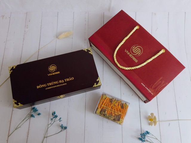 Đông Trùng Hạ Thảo Ký Chủ Nhộng - VNHERBS Hộp Gỗ 80 con - Sản Phẩm Dinh Dưỡng Từ Nấm Cordyceps Militaris Tăng Cường Sức Khỏe