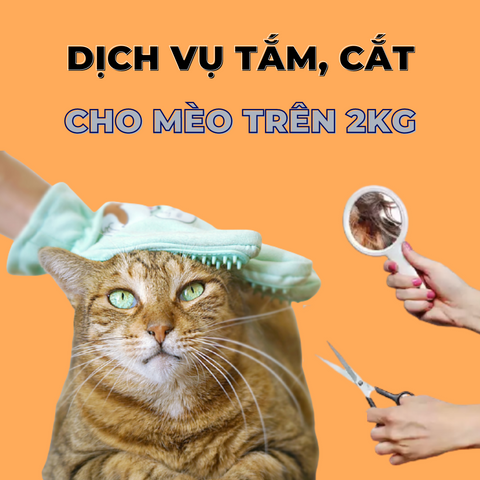 Voucher dịch vụ tắm cắt cho mèo trên 2kg