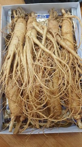 Sâm tươi Hàn Quốc 6 năm tuổi - 7 củ loại 1, 1kg - Thực phẩm chức năng tăng cường sức khỏe, hỗ trợ miễn dịch tự nhiên.