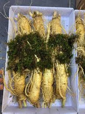 Sâm tươi Hàn Quốc 6 năm tuổi - 7 củ loại 1, 1kg - Thực phẩm chức năng tăng cường sức khỏe, hỗ trợ miễn dịch tự nhiên.