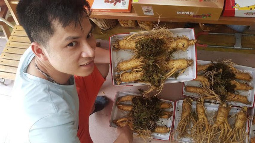 Sâm Tươi Hàn Quốc 6 Năm Tuổi 8 Củ 1kg Loại 1 - Tăng Cường Sức Khỏe & Cải Thiện Tinh Thần - Thực Phẩm Chức Năng Chất Lượng Cao