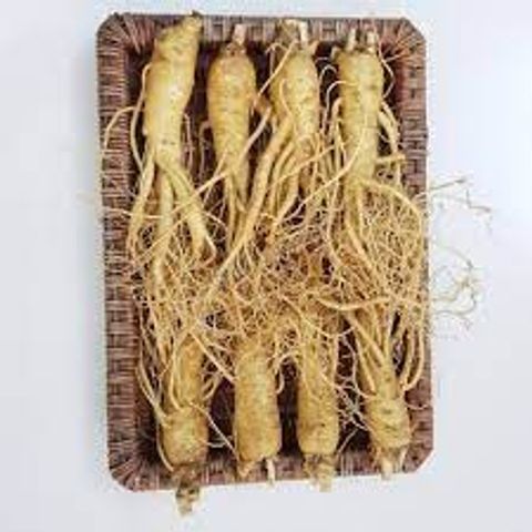 Sâm Tươi Hàn Quốc 6 Năm Tuổi 8 Củ 1kg Loại 1 - Tăng Cường Sức Khỏe & Cải Thiện Tinh Thần - Thực Phẩm Chức Năng Chất Lượng Cao