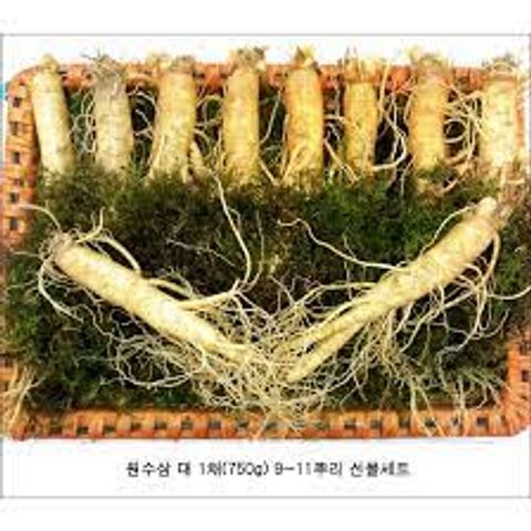 Sâm Tươi Hàn Quốc 6 Năm Tuổi - 10 Củ 1Kg Nhân Sâm Loại 1 Cao Cấp - Thực Phẩm Chức Năng Tăng Cường Sức Khỏe