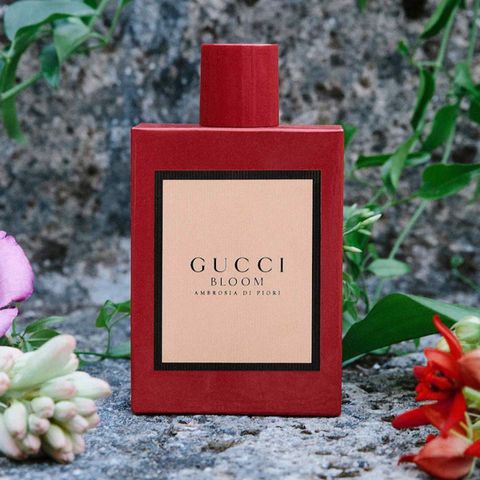 Nước hoa Gucci Bloom Ambrosia di Fiori Sang Trọng Nữ Tính - Hương Hoa Huệ và Hoa Hồng Đan Mạch - 100ml Chiết Full