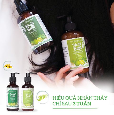 Bộ Dầu Gội Và Dầu Xả Bưởi Milaganics Hỗ Trợ Mọc Tóc 500ml x 2 Chai