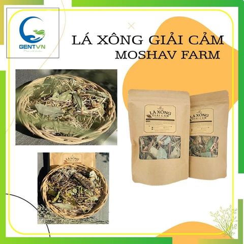 Set 4 Túi Lá Xông Giải Cảm The Moshav Farm