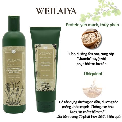 Bộ Dầu Gội Xả Weilaiya Tinh Chất Gừng Hà Thủ Ô - Giảm Rụng Tóc, Làm Mềm Mịn Tóc, Giúp Tóc Mọc Nhanh, Dưỡng Da Đầu Tự Nhiên