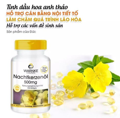 Viên uống Tinh Dầu Hoa Anh Thảo Warnke Nachtkerzenöl 500mg - Hỗ trợ Làm Đẹp Da và Cân Bằng Nội Tiết Nữ, 100 Viên Đức