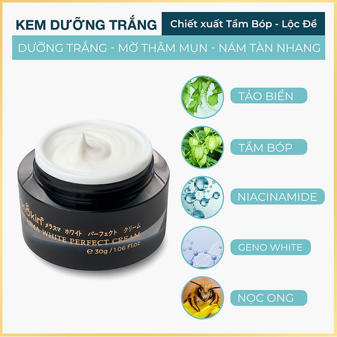 Kem Hỗ Trợ Mờ Nám Tàn Nhang Melasma White Perfect Cream 30g