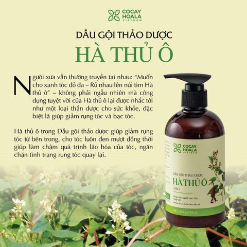 Dầu Gội Hà Thủ Ô Cocayhoala 300g - Cân Bằng Sắc Tố Melanin, Giảm Bạc Tóc, Phục Hồi Tóc Hư Tổn, Dưỡng Tóc Mềm Mượt
