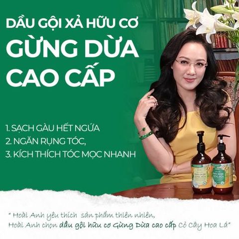 Dầu Gội Xả Hữu Cơ Sạch Gàu Gừng Dừa Cocayhoala 440g - Tóc Mềm Mượt, Giảm Rụng Tóc, Phục Hồi Hư Tổn Từ Thiên Nhiên
