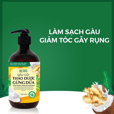 Dầu Gội Xả Hữu Cơ Sạch Gàu Gừng Dừa Cocayhoala 440g - Tóc Mềm Mượt, Giảm Rụng Tóc, Phục Hồi Hư Tổn Từ Thiên Nhiên