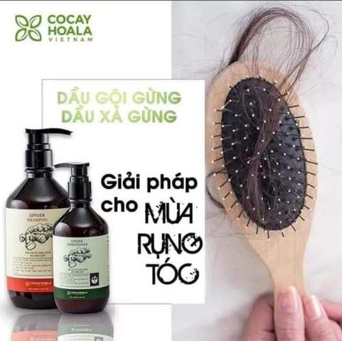 Dầu Xả Gừng Tươi Dưỡng Tóc Mềm Mượt Cocayhoala 300ml