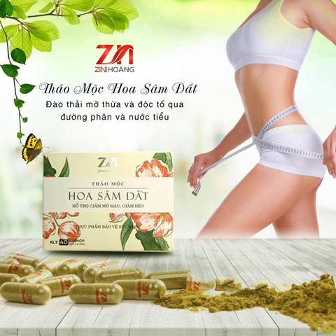 Viên uống Hoa Sâm Đất Hộp 20 gói – Viên uống giúp tan mỡ giảm cân