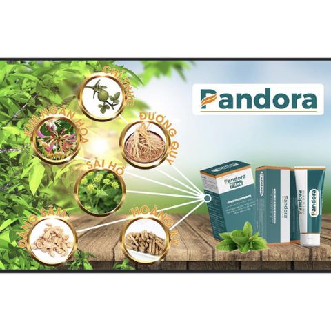 Kem bôi và Viên uống teo trĩ Pandora chính hãng, giá rẻ