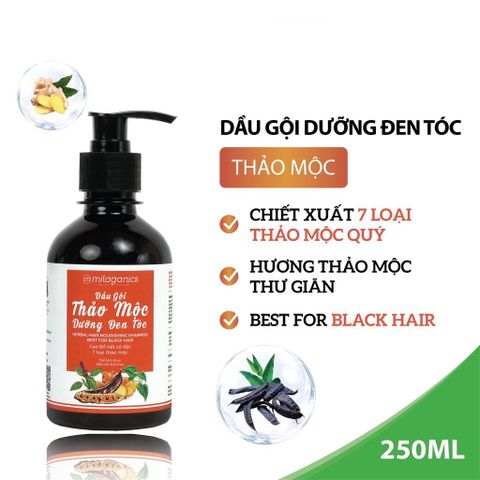 Dầu Gội Đen Tóc Hương Thảo Mộc Thiên Nhiên Milaganics 250ml (Chai)