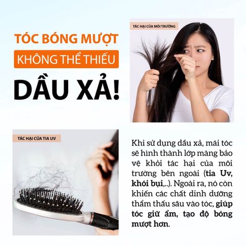 Dầu Xả Tóc 7 Loại Thảo Mộc Dưỡng Đen Tóc, Ngừa Rụng Milaganics 250ml