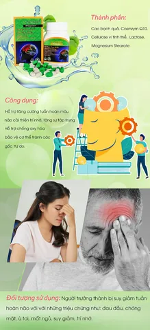 Viên Uống Hỗ Trợ Tăng Tuần Hoàn Não Vitatree Ginkgo Plus 40 Viên